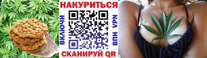 Cannafood марихуана  сколько стоит  Щёлкино 
