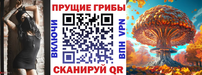 Галлюциногенные грибы ЛСД  Щёлкино 
